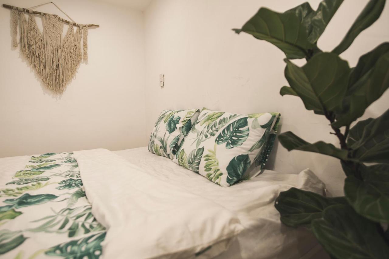 Tam Albergue